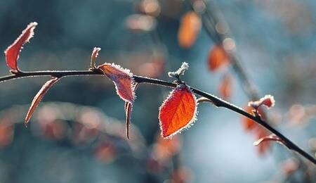 Hello December, czyli grudzień w Sokratesie