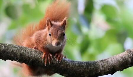 Kolejny raz wspólnie sprzątamy Las Kabacki!