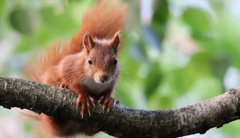 Kolejny raz wspólnie sprzątamy Las Kabacki!